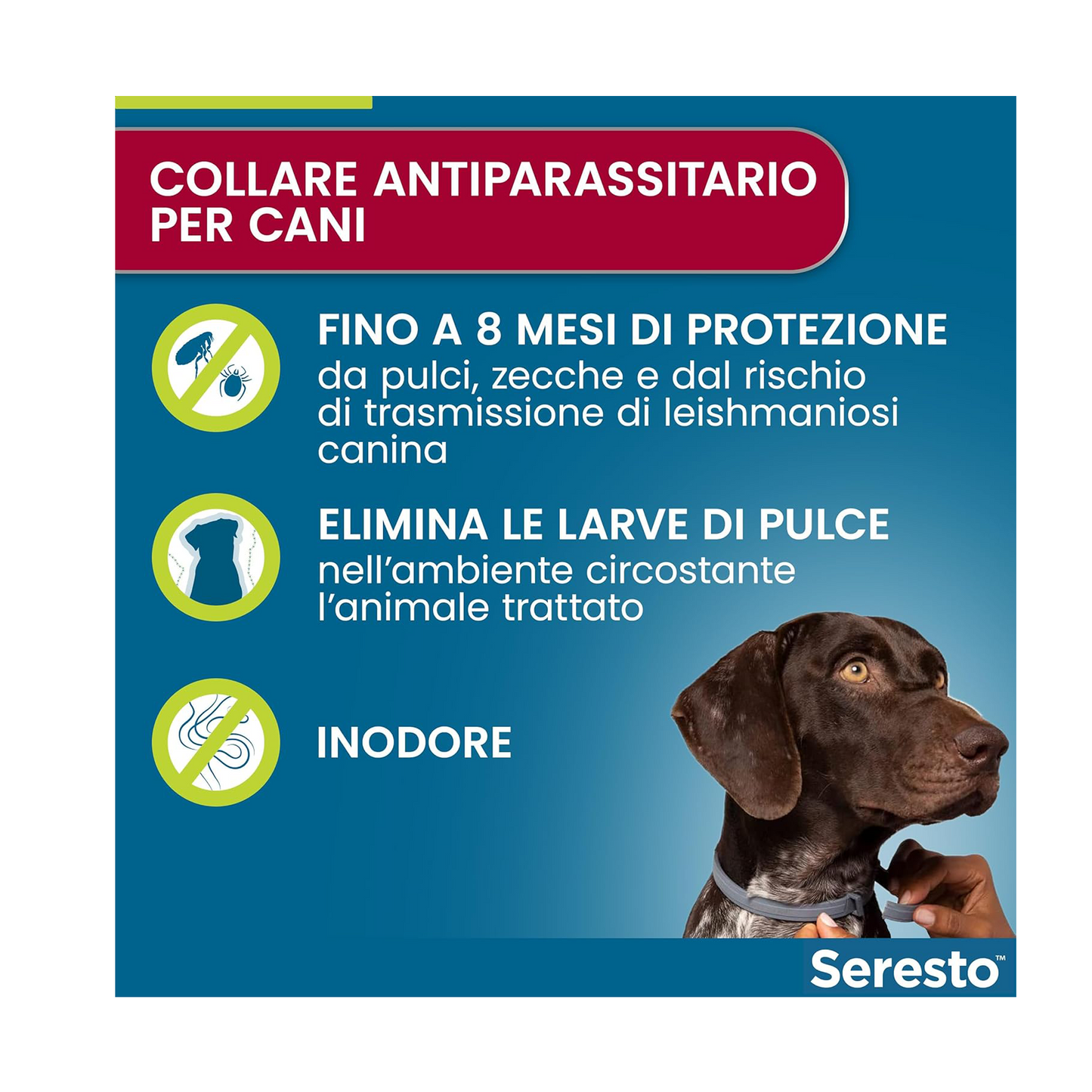 Seresto Collare per Cani fino a 8Kg