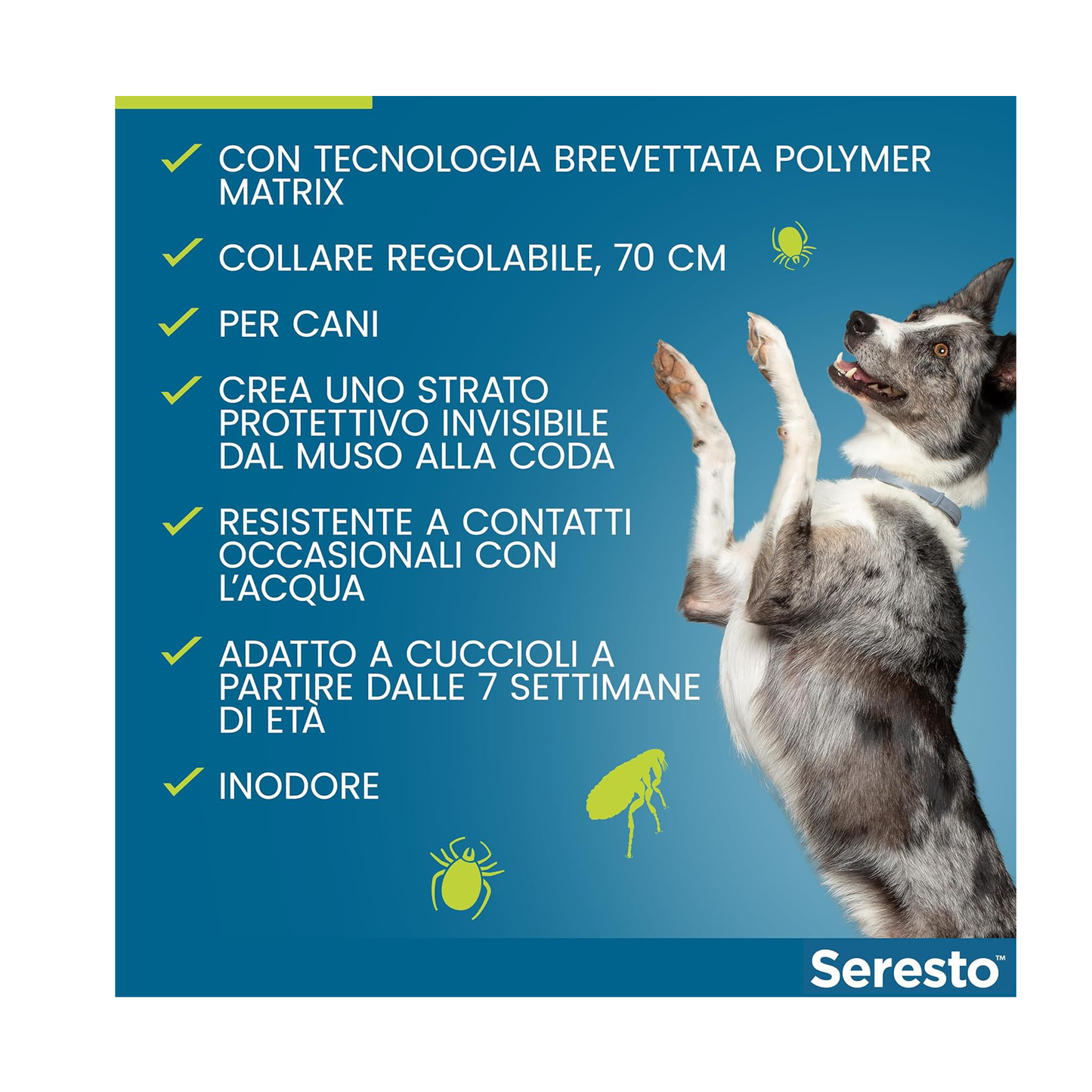 Seresto Collare per Cani fino a 8Kg