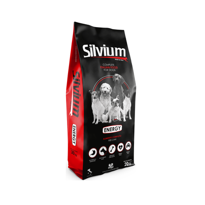 Silvium Energy 20 kg