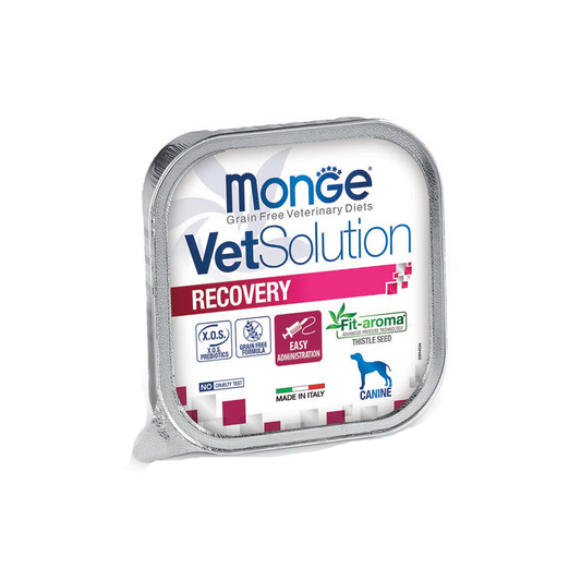 Monge VetSolution Recovery 150 gr