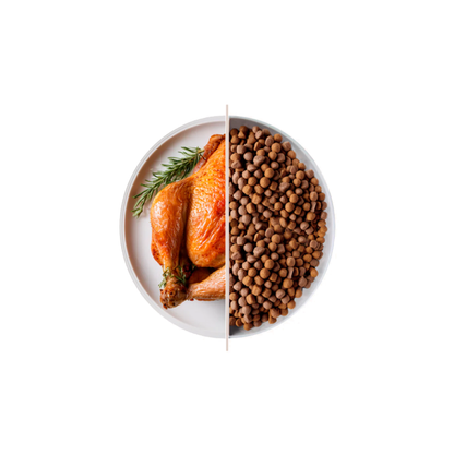 Top Chicken 3 kg – Premium Con Pollo