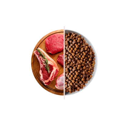 Top Energy 20 kg – Premium Con Agnello