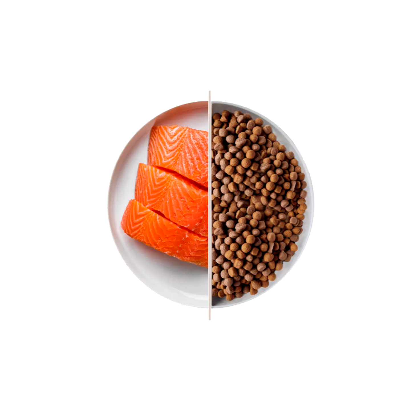 Top Salmon 10 kg – Premium Con Salmon